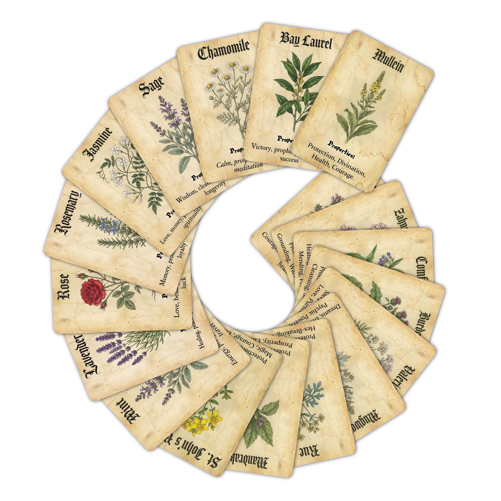 Vintage Magic Plant Theme Know - Vintage Collectibles & More Llc Photos review and price